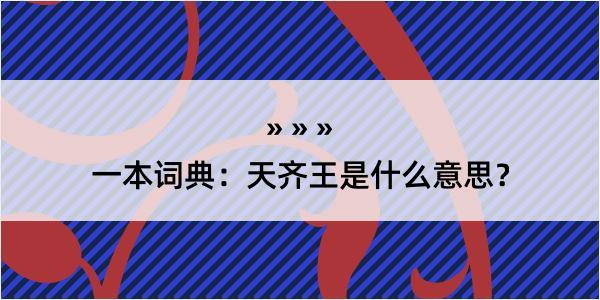 一本词典：天齐王是什么意思？