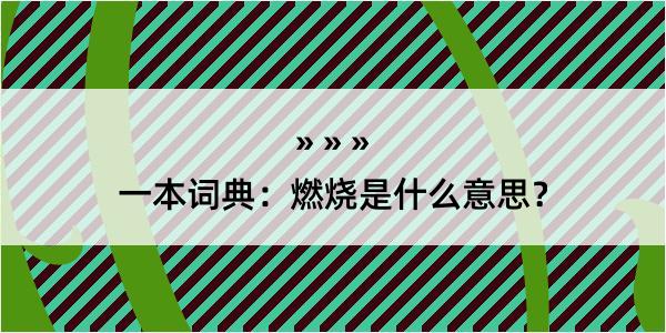 一本词典：燃烧是什么意思？