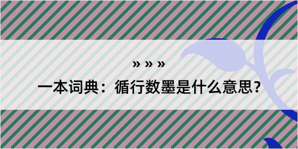 一本词典：循行数墨是什么意思？