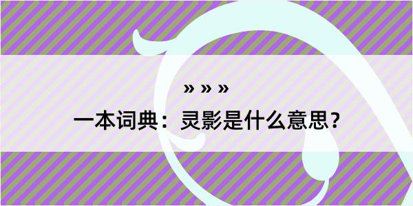 一本词典：灵影是什么意思？