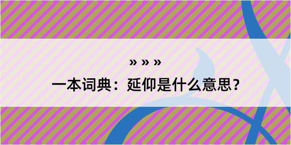 一本词典：延仰是什么意思？