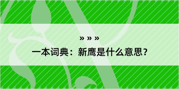 一本词典：新鹰是什么意思？