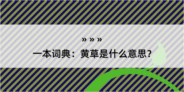 一本词典：黄草是什么意思？