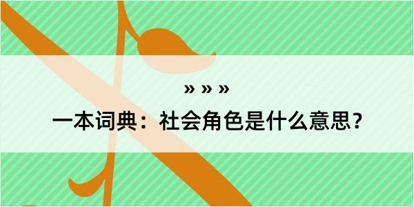 一本词典：社会角色是什么意思？