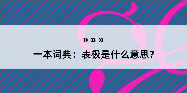 一本词典：表极是什么意思？