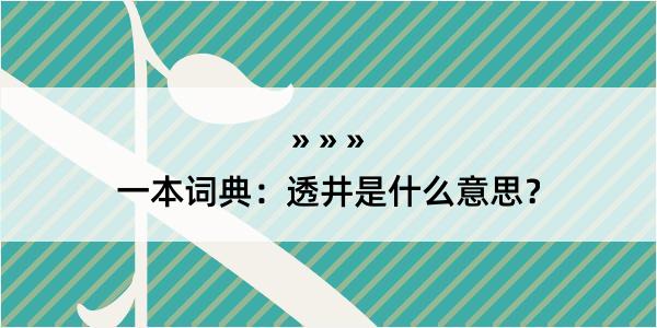 一本词典：透井是什么意思？