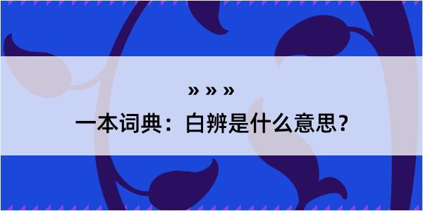 一本词典：白辨是什么意思？