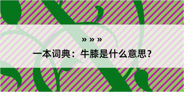 一本词典：牛膝是什么意思？