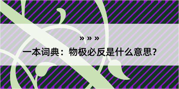 一本词典：物极必反是什么意思？