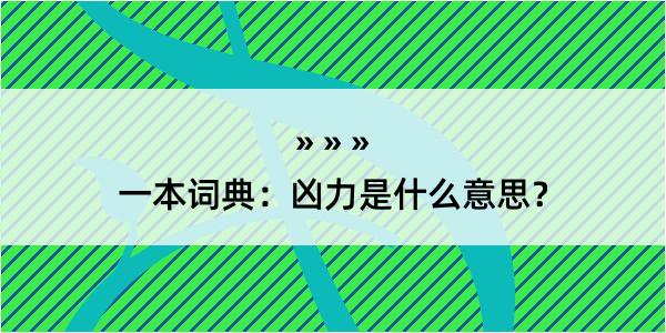 一本词典：凶力是什么意思？