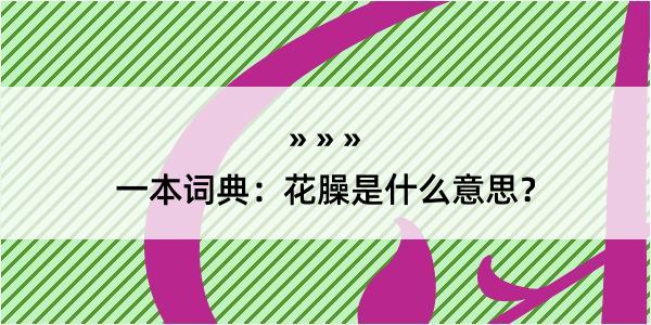 一本词典：花臊是什么意思？