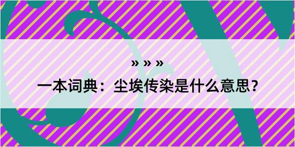 一本词典：尘埃传染是什么意思？