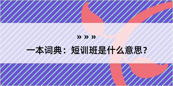 一本词典：短训班是什么意思？