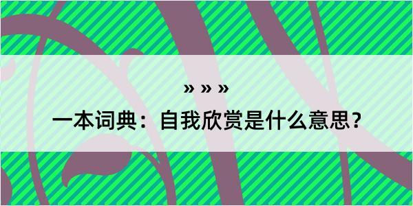 一本词典：自我欣赏是什么意思？