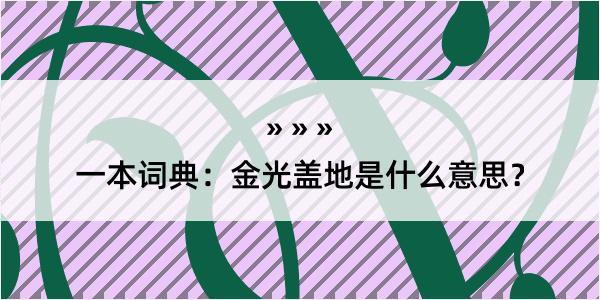 一本词典：金光盖地是什么意思？