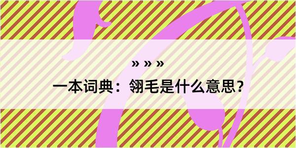 一本词典：翎毛是什么意思？