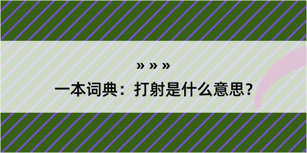 一本词典：打射是什么意思？