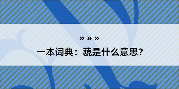 一本词典：藐是什么意思？