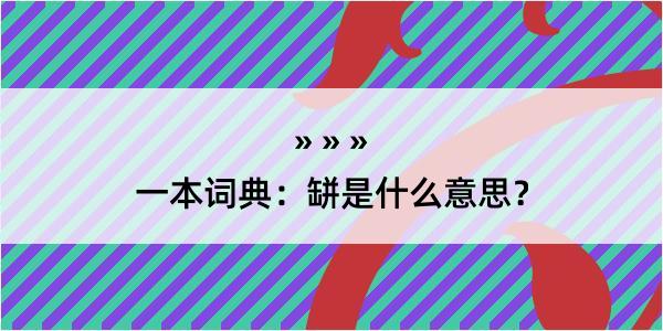 一本词典：缾是什么意思？