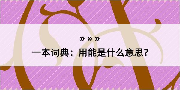 一本词典：用能是什么意思？