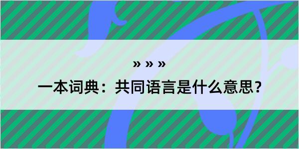 一本词典：共同语言是什么意思？