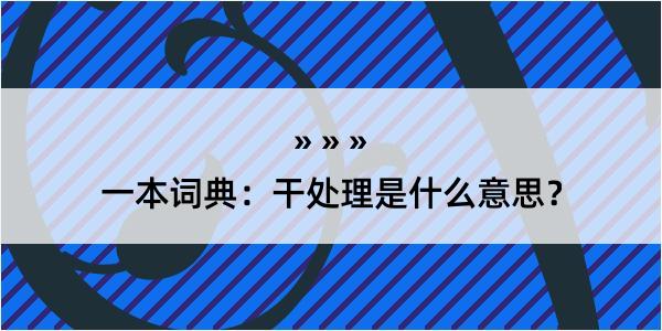 一本词典：干处理是什么意思？