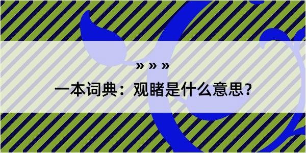 一本词典：观睹是什么意思？