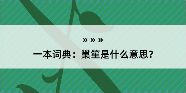 一本词典：巢笙是什么意思？