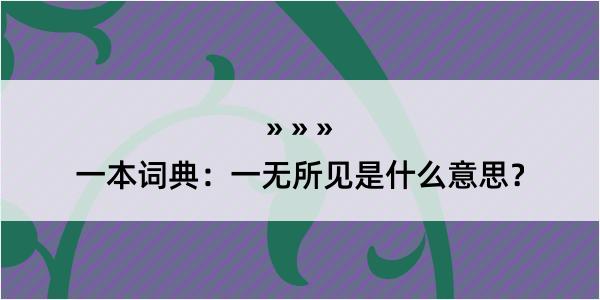 一本词典：一无所见是什么意思？