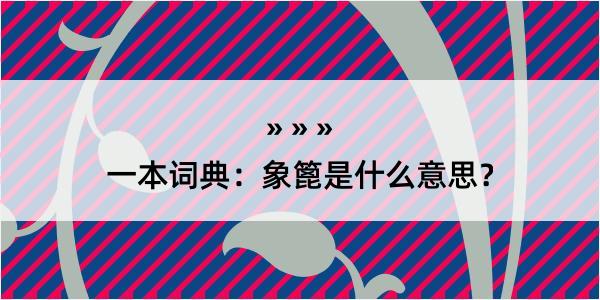 一本词典：象篦是什么意思？