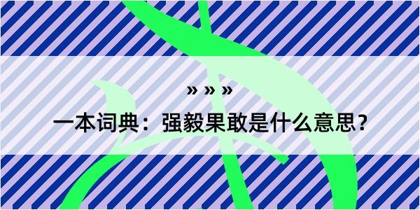 一本词典：强毅果敢是什么意思？