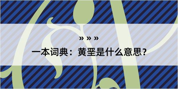 一本词典：黄垩是什么意思？