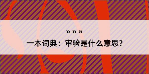 一本词典：审验是什么意思？