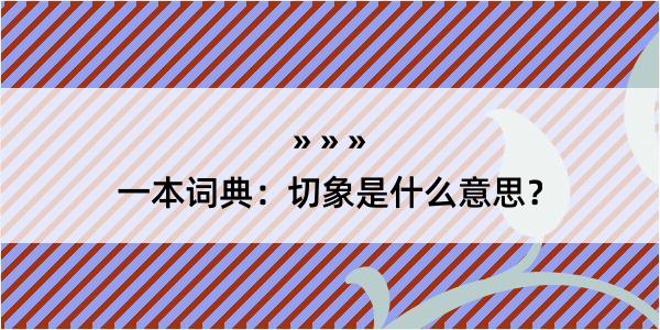 一本词典：切象是什么意思？