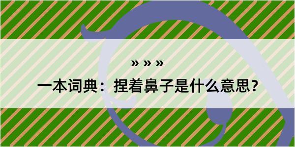 一本词典：捏着鼻子是什么意思？