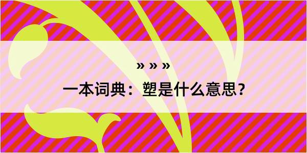 一本词典：塑是什么意思？