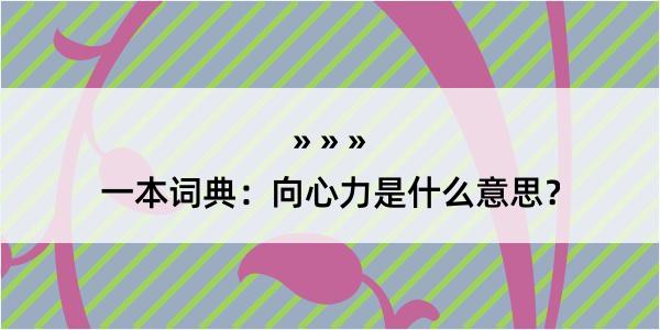 一本词典：向心力是什么意思？