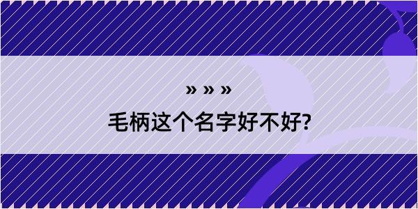 毛柄这个名字好不好?