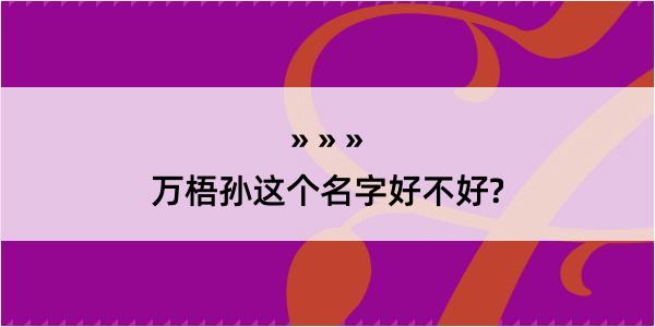 万梧孙这个名字好不好?