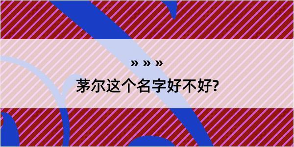 茅尔这个名字好不好?