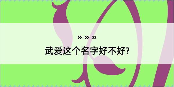 武爱这个名字好不好?