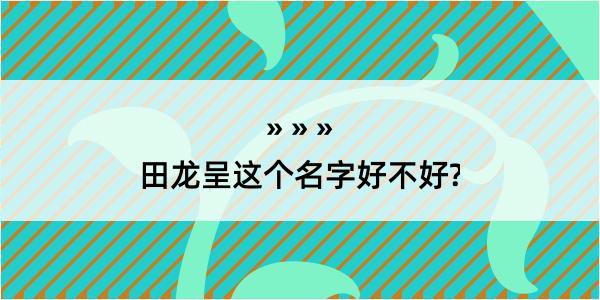 田龙呈这个名字好不好?