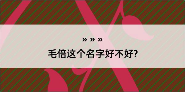 毛倍这个名字好不好?