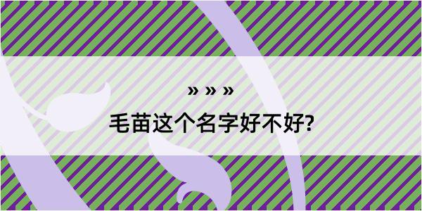 毛苗这个名字好不好?