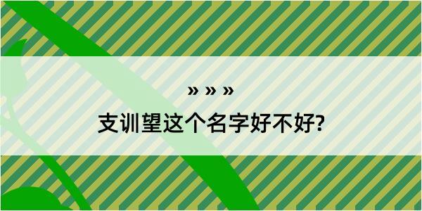 支训望这个名字好不好?