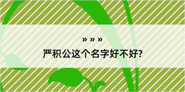 严积公这个名字好不好?