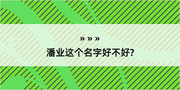 潘业这个名字好不好?