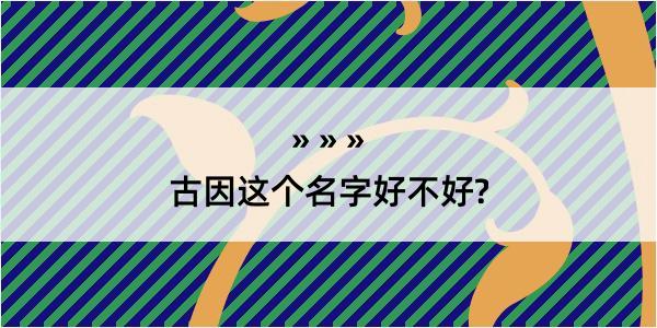 古因这个名字好不好?