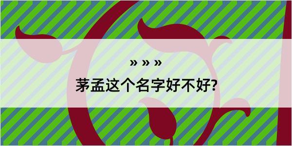 茅孟这个名字好不好?