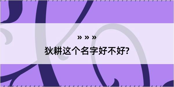 狄耕这个名字好不好?